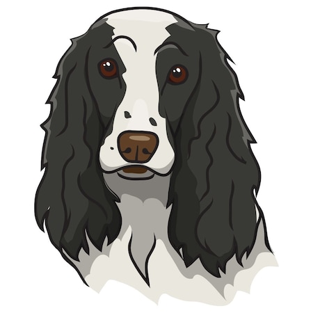 Signmission English Cocker Spaniel Dog Decal, Dog Lover Decor Vinyl Sticker D-12-English Cocker Spaniel